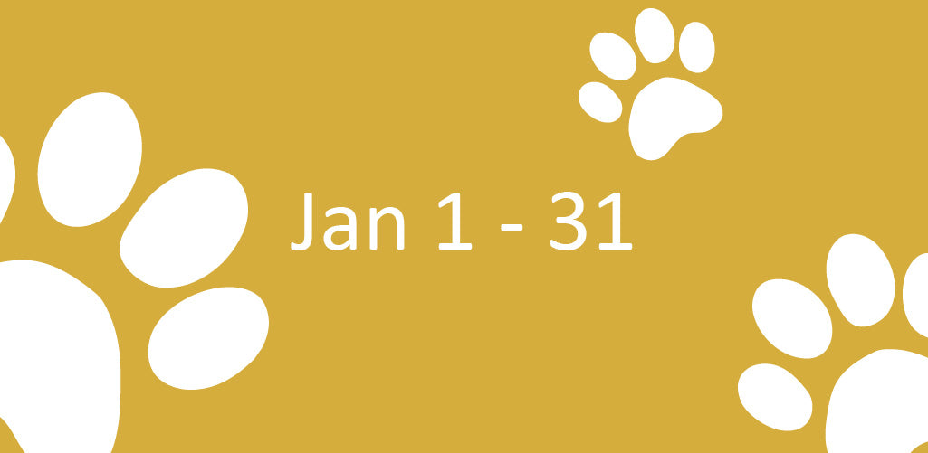 1月寵物糧食優惠總匯