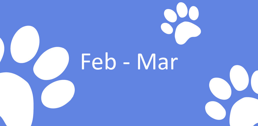 2-3月寵物糧食優惠總匯