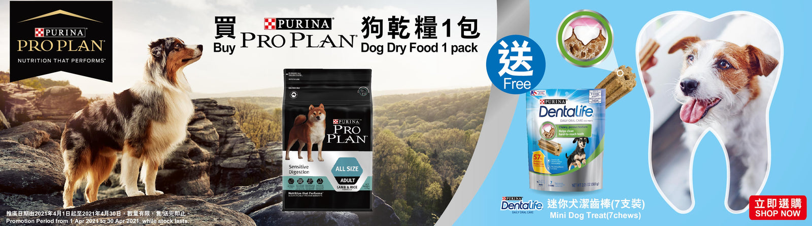 買1袋PROPLAN乾狗糧，免費贈送 Dentalife 潔齒棒7日體驗裝！