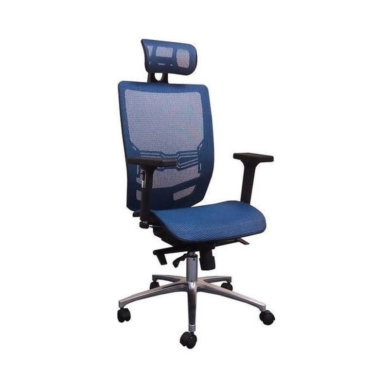 ProWork® B04 人體工學辦公椅 電腦椅 鋁合金腳-藍色 Blue-自己裝(紙箱包裝)-Suchprice® 優價網